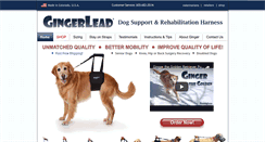 Desktop Screenshot of gingerlead.com