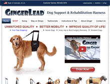 Tablet Screenshot of gingerlead.com